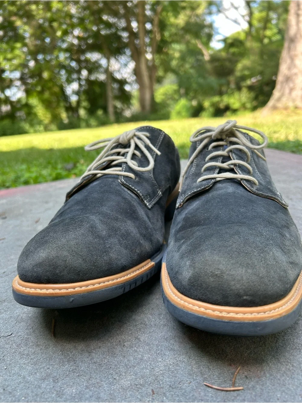 Cole Haan Men's Size 12 Suede Derby Shoes in Dark Blue